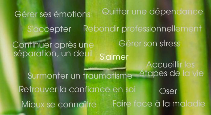 quitter une dépression, s'aimer, faire un deuil, rebondir professionnellement, surmonter un traumatisme, gérer ses émotions, s'accepter, continuer après une séparation, un deuil, retrouver la confiance en soi